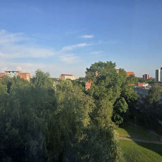 photo-6
