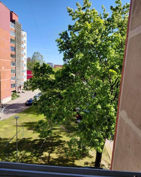 photo-17