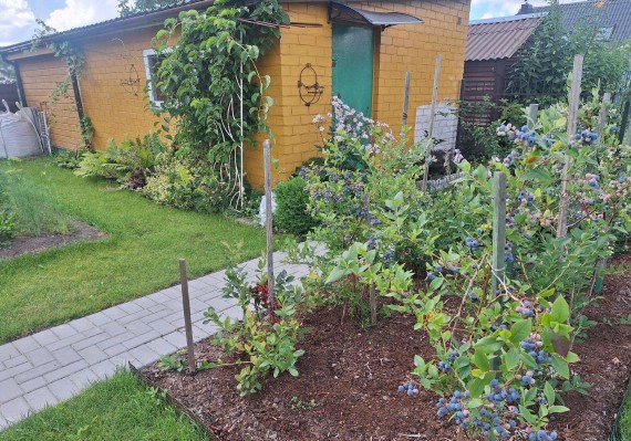 photo-13