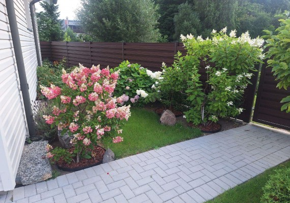 photo-9