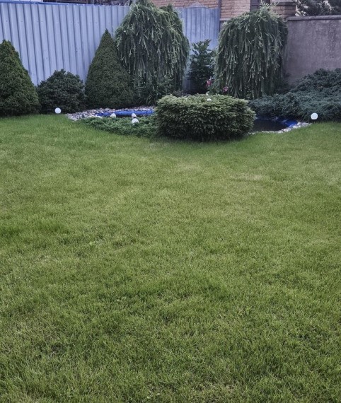 photo-15