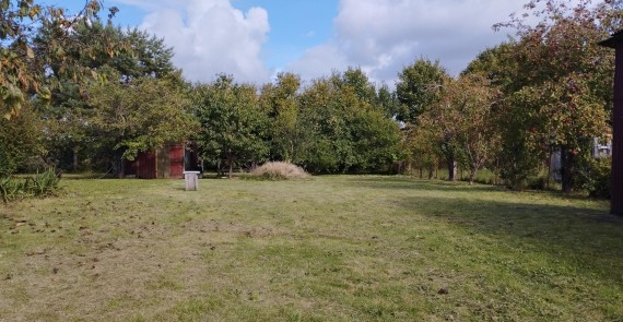 photo-12