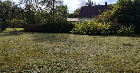 photo-13