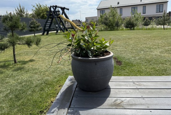 photo-17