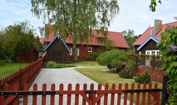 photo-11