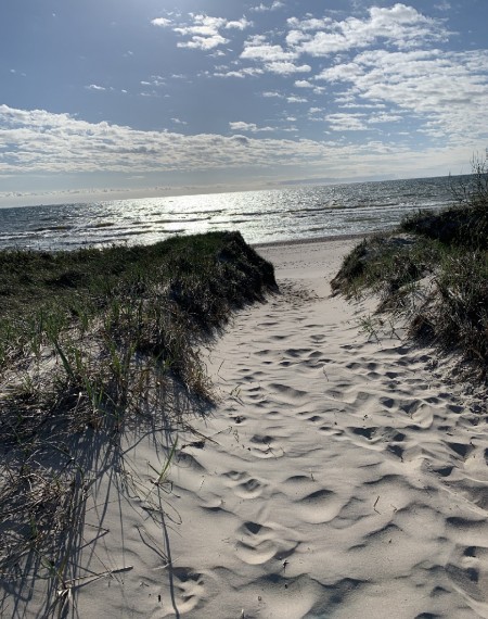 photo-7