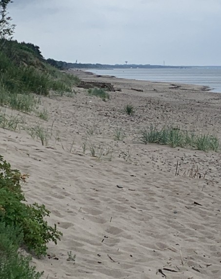 photo-8