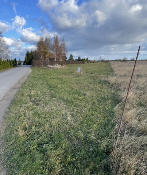 photo-1